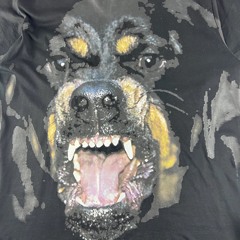 rottweiler X life (HARDCORE)