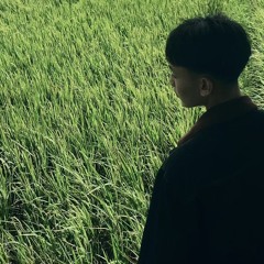 Bóng hình ký ức