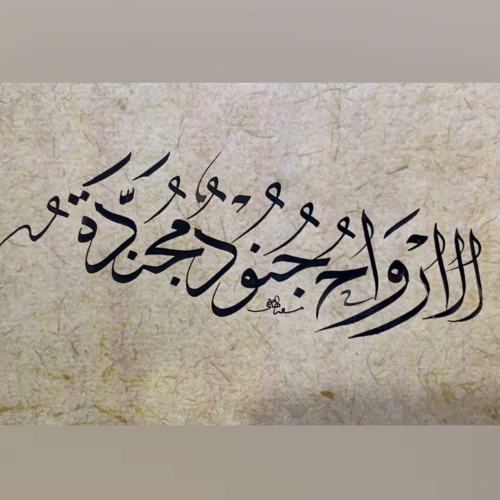 ولا أوحشَ اللهُ مِن مُؤنِسي || الشيخ أحمد السيّد.