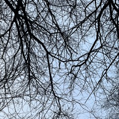 i love you now i love you never (knumears)