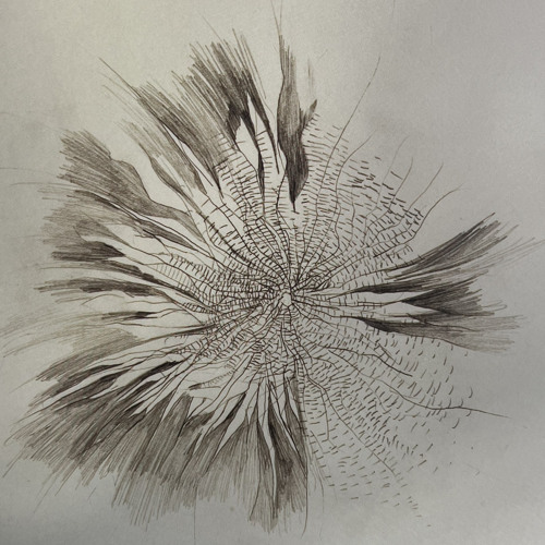 사랑으로