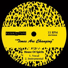Tom Noble - Times Are Changing (Instrumental)