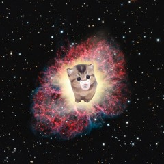 cats eating soup in space