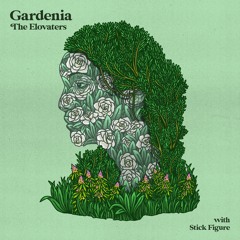 Gardenia (with Stick Figure)