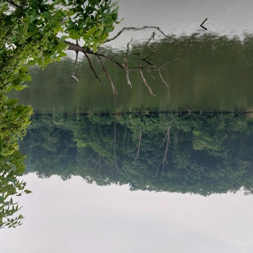 Spring Lake