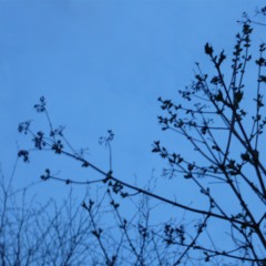 Extraordinaire quotidien - Installation sonore et visuelle - Vis à Vis