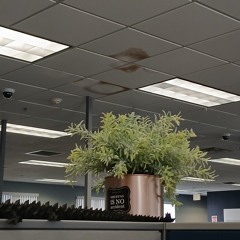 success is no accident