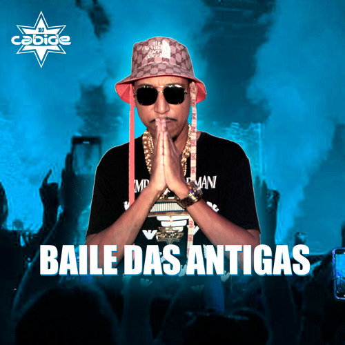 Cachorro Holanda