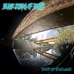 Black Cobra of Death  -  Drop Of The Beat