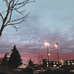 xo - life as a dog (slowed + reverb)