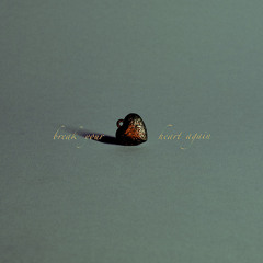 Break Your Heart Again
