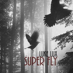Super Fly