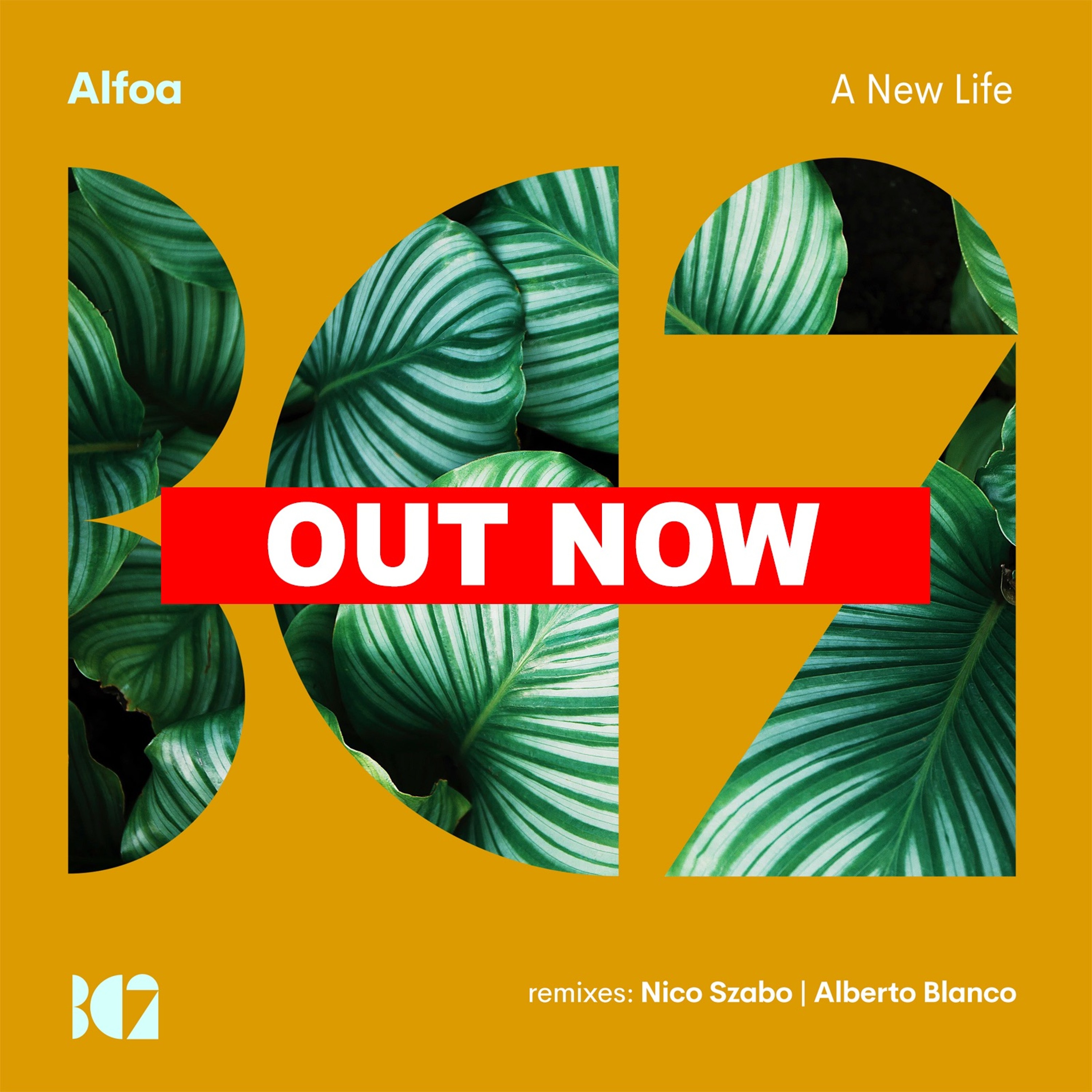 Alfoa