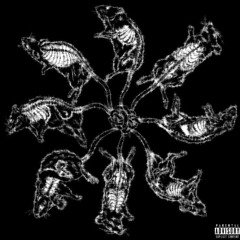 The Whore (prod. sxzu)