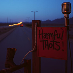 Harmful Thots (Country Version)