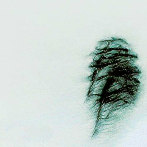 Boson Spin - Orizera