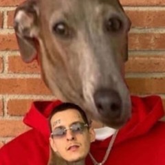 діс на кізару
