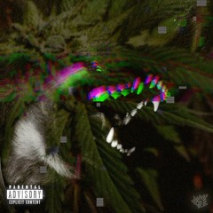 PillsLuv feat Dolla Guap (prod.by shawtydestroyer)