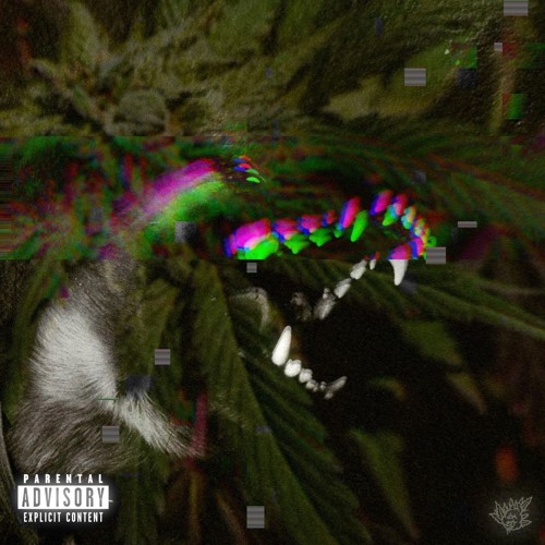 PillsLuv feat Dolla Guap (prod.by shawtydestroyer)