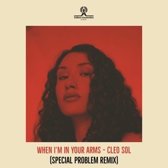 Cleo Sol - When I'm In Your Arms (Special Problem Remix)