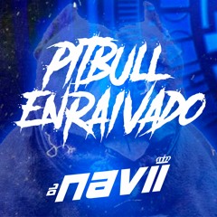 PITBULL ENRAIVADO x METE SEU CACHORRO (DJ NAVII)