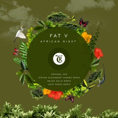 ✺ | FAT V - African Night (Jack Essek Remix) [Tibetania Records]