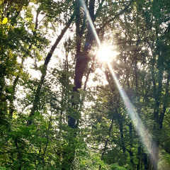 katy perry- not like the movies (piano cover)