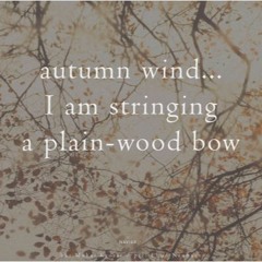 Haïku563-windy bow