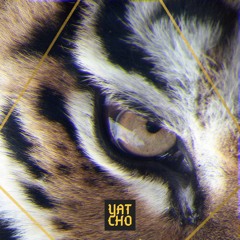 Yatcho - Tiger Stripes