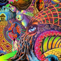 CHASS - MULTICOLORED