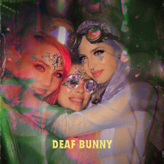 SUPER BASS (deaf bunny remix)