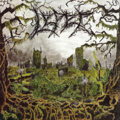 LEPER - Destroy What Destroys You