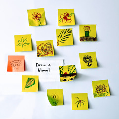 twilight sonic blooms