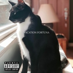 VACATION FORTUNA