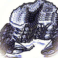 Grasping at a Passing Squid