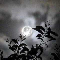 Jamal_Mubarez_-_Ishq_OFFICIAL_AUDIO_|_آهنگ_جدید_جمال_مبارز_-_عشق(256k).mp3