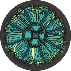A1. Mary Yuzovskaya - Ittiologia (ORBE remix) - MOFF017