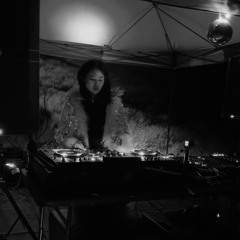 goodtimes sunset salt flats Live