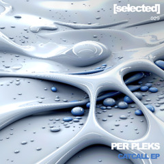 Premiere: PER PLEKS - IN THIS GROOVE [SELECTED029]