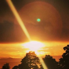 Emotional vibrations