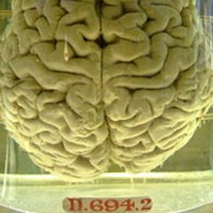 piece_of_mind(elitest).m4a