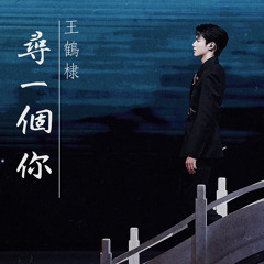 寻一个你 (《2023网络视听年度盛典》王鹤棣个人舞台) - 王鹤棣Dylan Wang