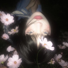 一杯就倒的抒情歌手