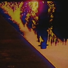 HOME - The Snake From The Don't Tread On Me Flag Got Run Over By A Ford Taurus Yesterday