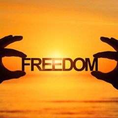 VOX FREEDOM