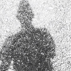snippet 2