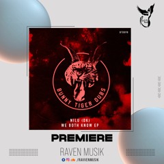 PREMIERE: NILU (DK) - We Both Know (Original Mix) [Bunny Tiger Dubs]