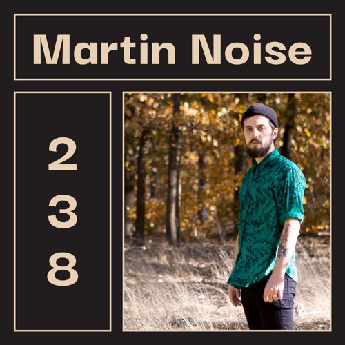 LAYER #238 | Martin Noise