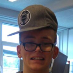 Heute gehn wir dumm - DEMO