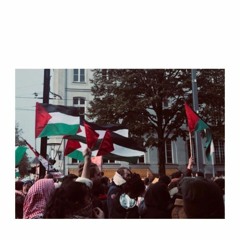Freedom for Palestine is freedom for all
